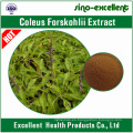 Extracto natural de Forskohlii del Coleus Forskolin
